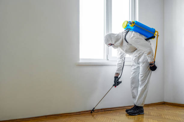 Reliable Fort Lee, NJ Pest control Solutions